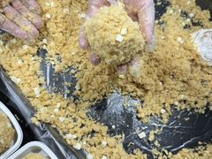 -85度C(生甜甜圈研究工坊·上海平凉店)