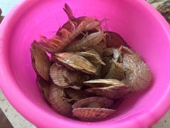 -港畔赶海蒸汽海鲜烧烤自助(仙螺岛店)