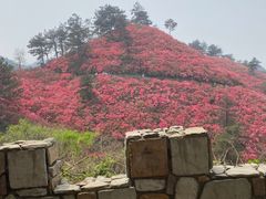 -木兰云雾山