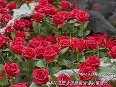 -上海港国际客运中心