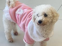 -怪兽屋·羊驼·猫咖·狗咖(俊华广场店)