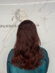 -潘多拉Hairsalon