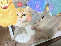 -永辉超市(新世界店)