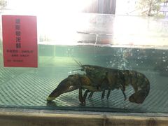 -领鲜活海鲜榴莲自助火锅(东门店)