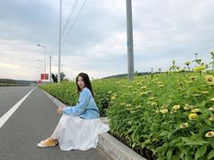 -莲花山花海