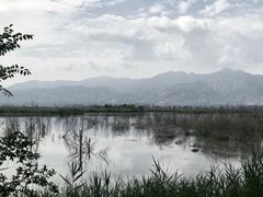 -野鸭湖国家湿地公园