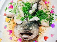 葱油鲈鱼-佬肥猫(国华广场店)