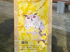 -承恩寺