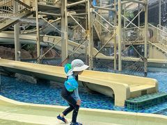 -亚马逊丛林水乐园