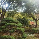 小绿地公园下津园打卡攻略