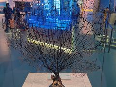 -上海中国航海博物馆