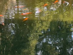 -浙江省博物馆(孤山馆区)
