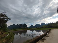 -会仙湿地