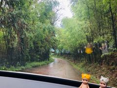 -重庆雨台山风景区