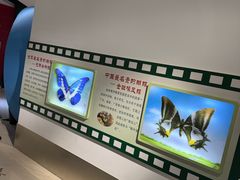 -上海昆虫博物馆