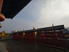 -大槐树寻根祭祖园