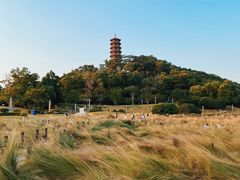 -红花山公园