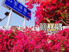 -白石龙音乐公园