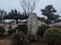 -九龙湖公园