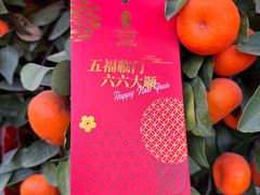 -侨美食家·41年地道粤菜(恒福路店)