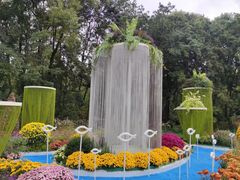 -上海共青森林公园