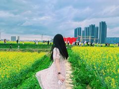 -光明小镇欢乐田园