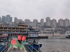 -重庆两江夜游-交运系列