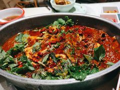 -黔渔翁豆花渎鱼(喷水池店)