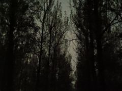 -林栖谷森林康养度假区