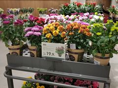 -鹿岛会员店 (龙湖三千集天街店)