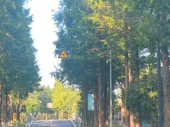 -歌斐颂巧克力小镇