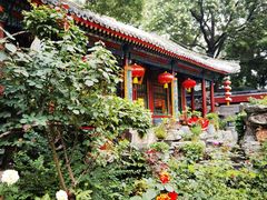 -白家大院·王府宫廷菜(苏州街店)