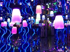 -梵高星空艺术馆(北京旗舰店)