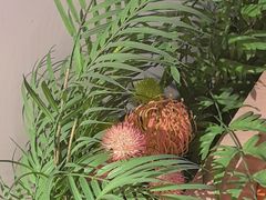 -享遇.锅姥姥牛排海鲜自助(小寨店)