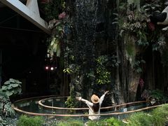 -正佳雨林生态植物园