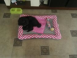 -杉惠素颜美妆皮肤管理中心