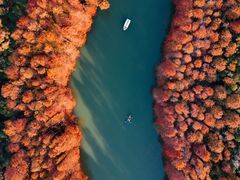 -上海海湾国家森林公园