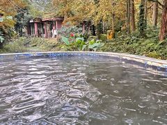 -中铁花水湾温泉酒店(大邑店)