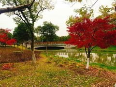 -尚贤河湿地