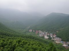 -安吉胖嫂家