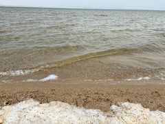 -撒拉人家.酸菜牦牛肉火锅