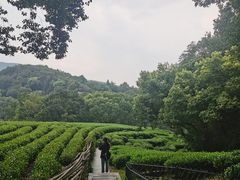 -西湖风景区十里琅珰-五云山