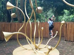 -南宁良凤江国家森林公园