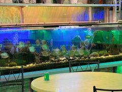 -無招牌海鮮(芽笼店)