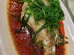 -渔意楼·驰名沙田乳鸽(五羊旗舰店)