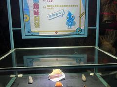 -贝壳梦幻世界