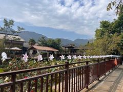 -大理洱源西湖景区