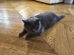 -Me Coffee下午茶艺术空间