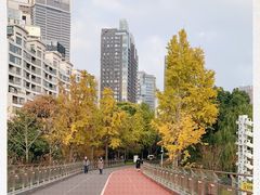 -北外滩滨江绿地