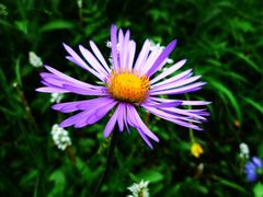 -小五台金河景区